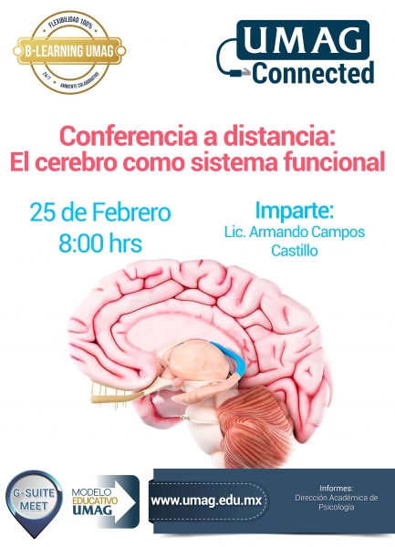 25_Febrero_cerebro-sistema-funcional_-PSICOLOGA-min